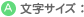 文字サイズ：